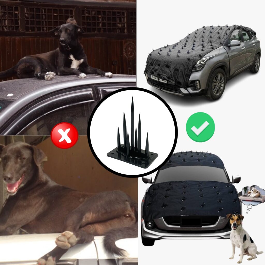 animal deterrent spike strips