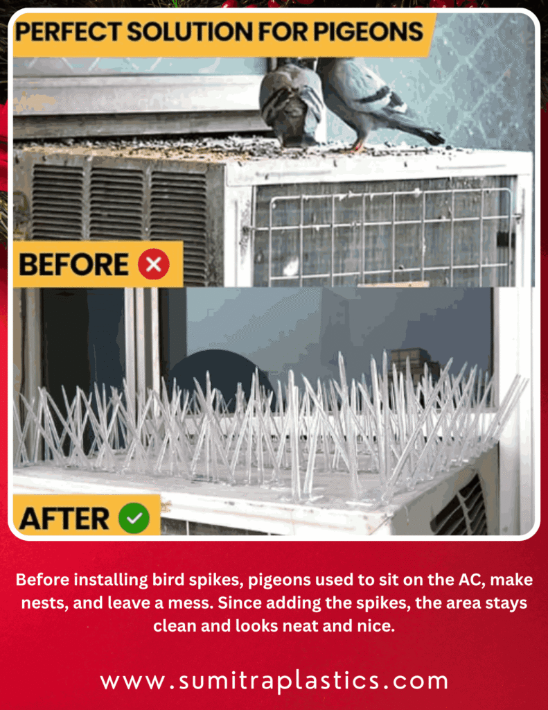 pigeon spikes near me