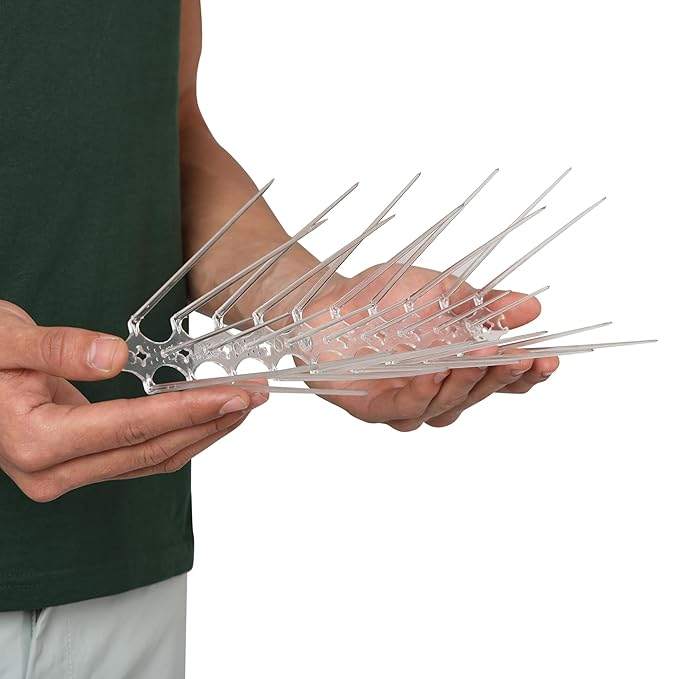 pigeon spikes near me