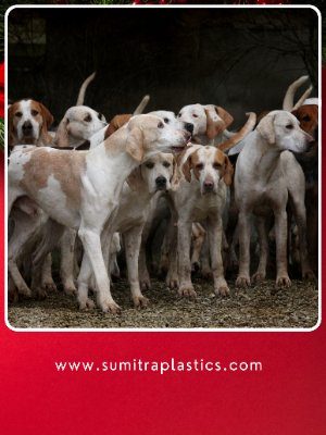 dog monkey cat spike installation